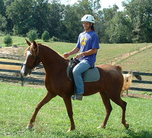 First Trail Ride