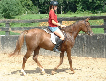True & Allison