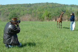 Vesty Shoots Phadre