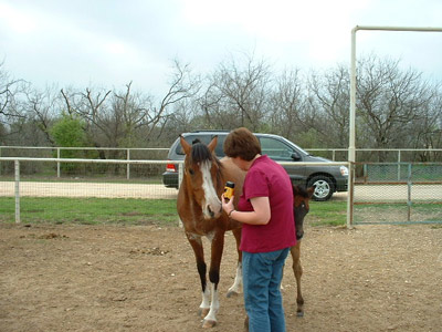Waco