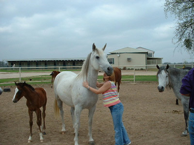 Waco