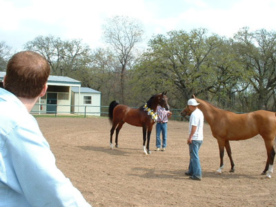 Waco