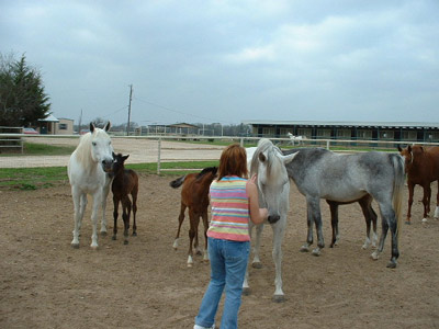 Waco