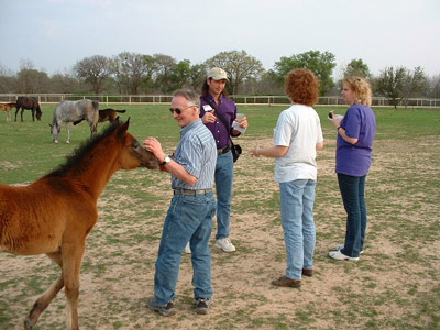 Waco