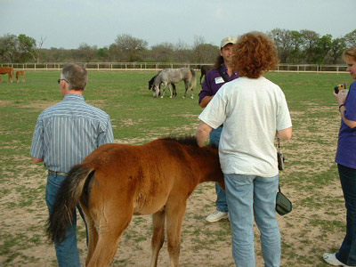 Waco