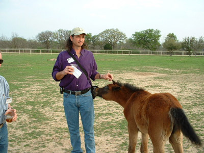 Waco