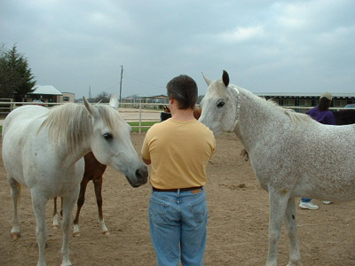 Waco