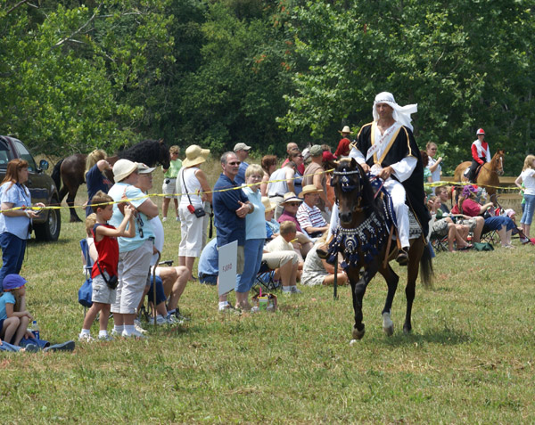 Wine Festival