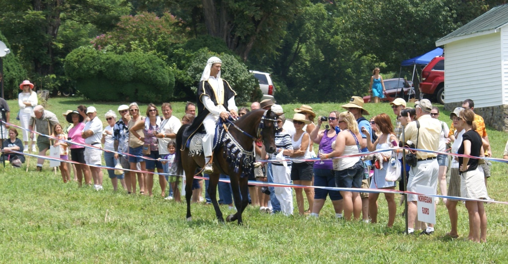 Festival