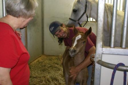 Shaleia's Colt