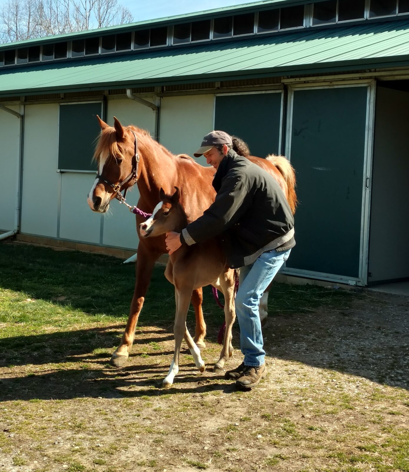 Finally…..a filly for the Crabtrees!!